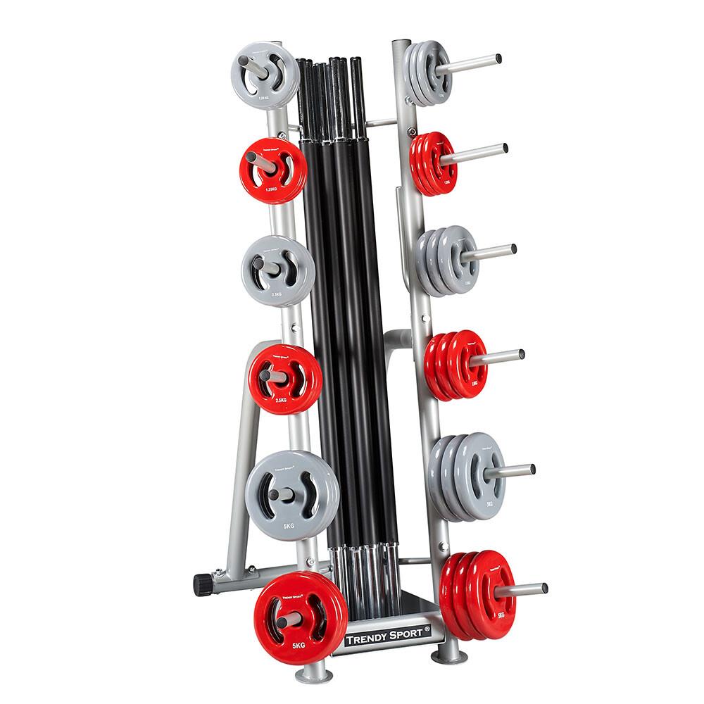 Système de Rangement pour disque de musculation Gris Argent